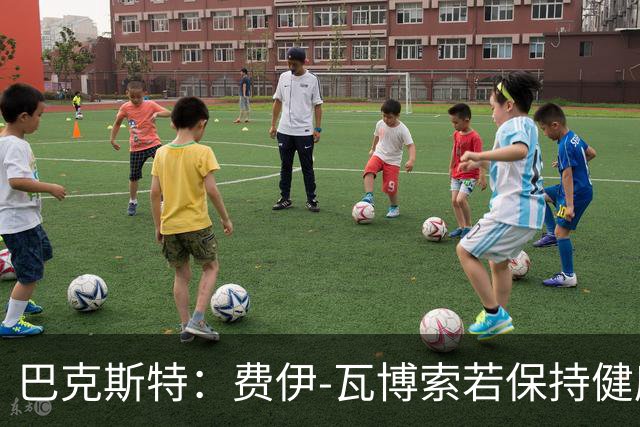 巴克斯特：费伊-瓦博索若保持健康，可能成为世界杯球星